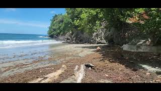 Delford Bay Tobago