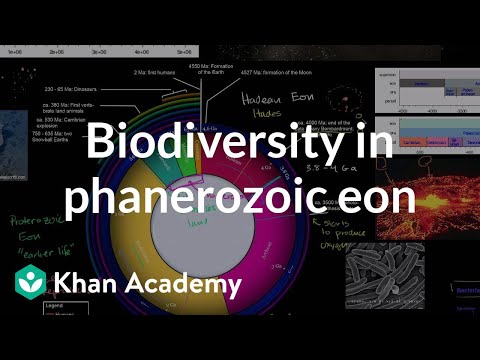 Video: Jak znázorníte biologii?