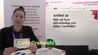 Rättslig analys: av Försäkringskassans skrivelse till regeringen om