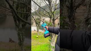 Download Lagu alat cerdas untuk memangkas dahan dan ranting pohon dengan mudah #shorts MP3