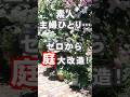 素人がゼロから庭をDIY！　#shorts #diy #庭づくり #エクステリア