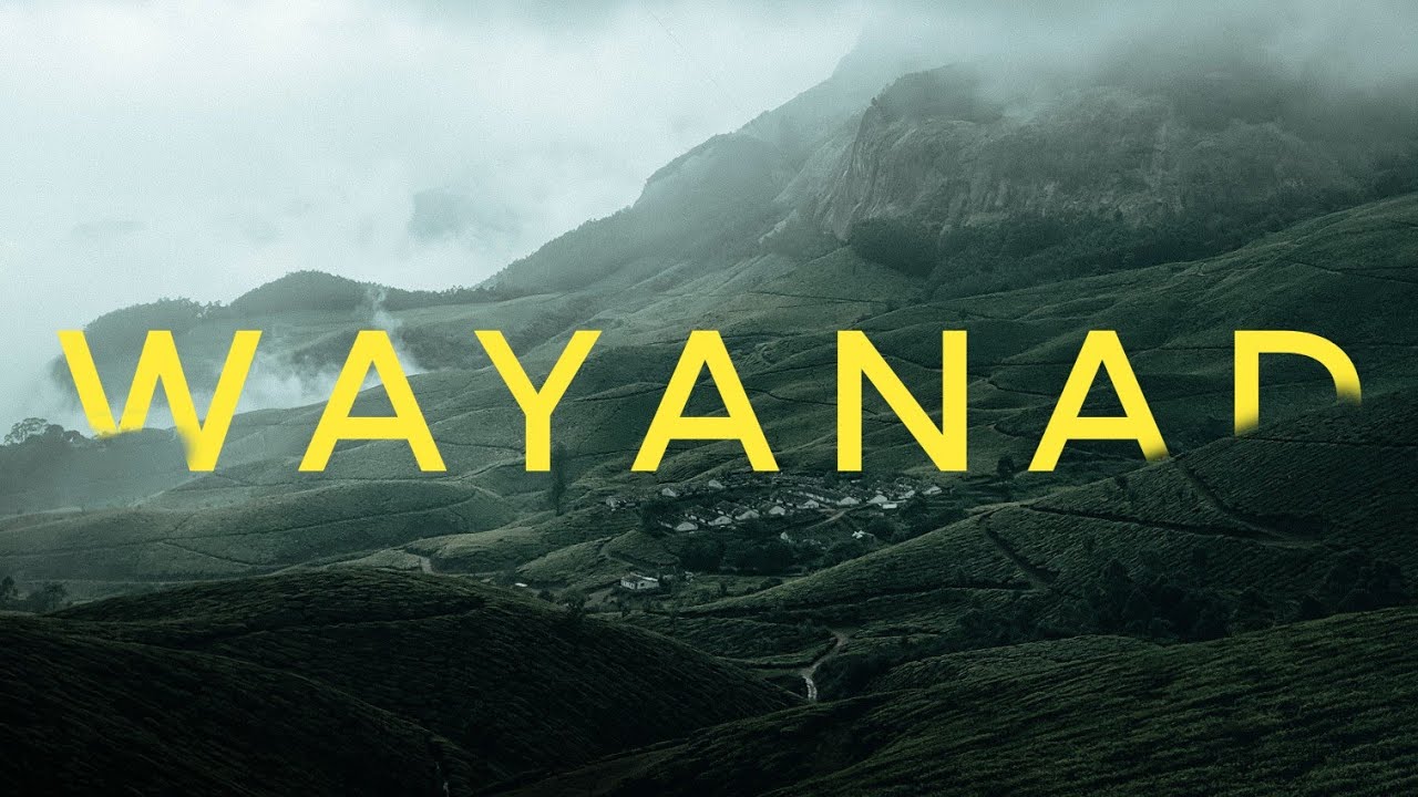 WAYAND A SMALL B-ROLL  | PIXEL 4A