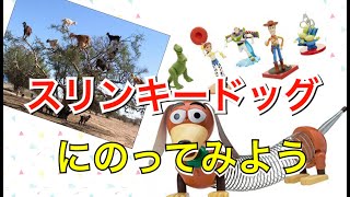 【トイ・ストーリー/ToyStory】スリンキードッグにのってみよう