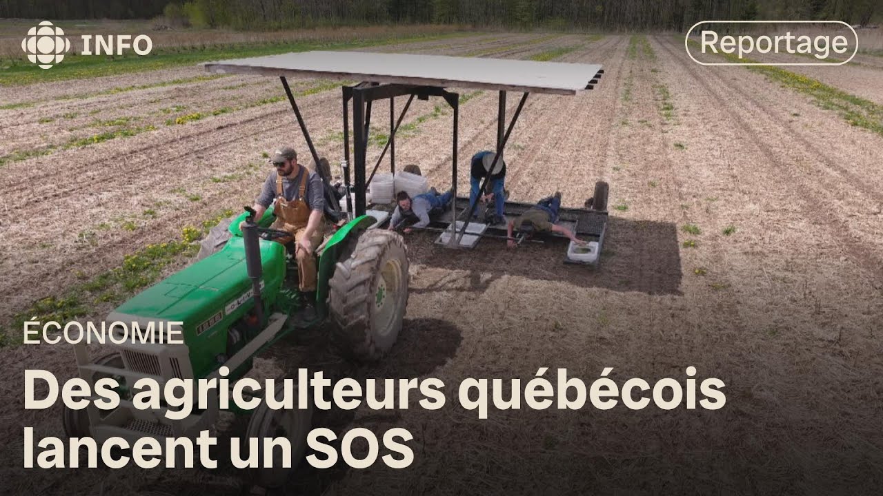 Crise des agriculteurs au qu bec des producteurs au bord de la