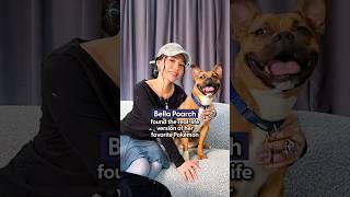 bella poarch reveals side only her pets see her dodo dream