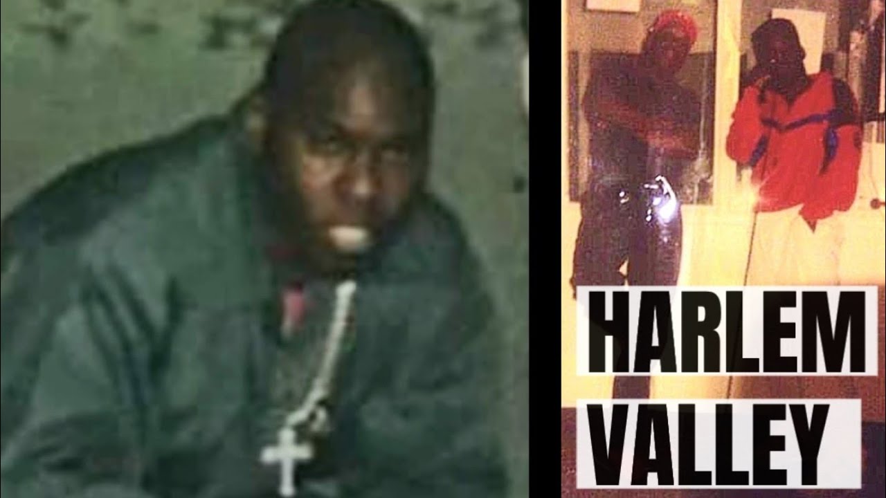 FROM D.F.Y TO NEW YORK STATE #PRISON- REAL STORIES, INTERVIEWS BY ST. LAZ - BORN FROM THE BRONX