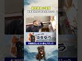もはや記憶の回収も楽しいもんです笑