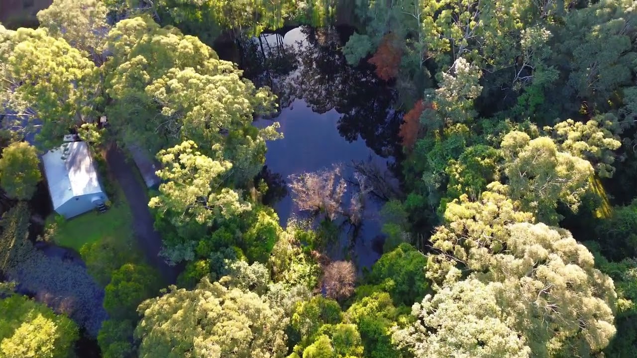 Drone footage - Australian bush 🦘