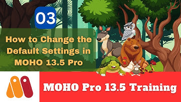 Change Default Project Settings in MOHO 13.5 Pro | MOHO Training | 2D Animation Mastery