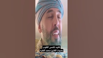 تلاوه تلامس القلوب بصوت القارئ محمد الفقيه #القرآن_راحة_نفسية  #بصوت_القارئ #اكسبلور #تيك_توك #لايك