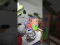 New Design home 🏡 for #aquarium make #viralreels #viral #viralvideo #love #viralshorts #viralsong