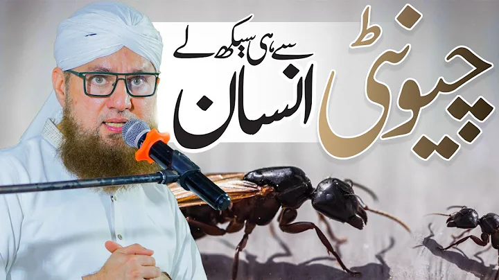 Solution of all Our Problem | Allah Pr Yaqen Kro | Chionti Se Hi Sekh lay Insan | Abdul Habib Attari