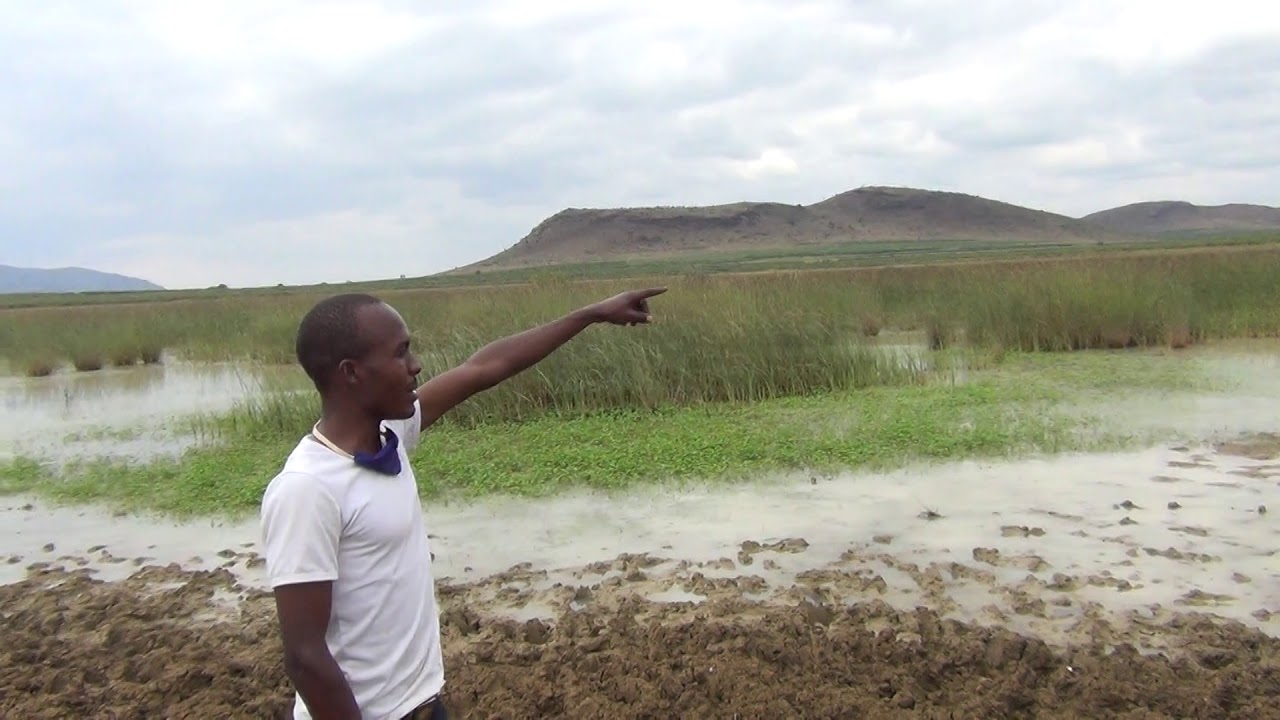 History Of Kamba Landmarks Yiiani Kwa Wanthuku Na Kutetea Miunda Ya