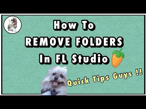 How to Remove Folders In FL Studio || Quick Tips and Easy Guys !