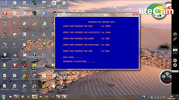 C++ graphical expense calculator