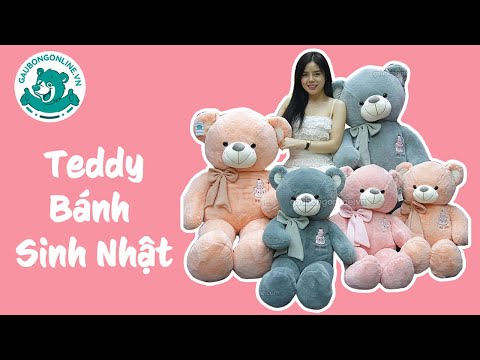 #1 Gấu Bông Teddy Bánh Sinh Nhật – Món Quà Sinh Nhật Ý Nghĩa. Mới Nhất