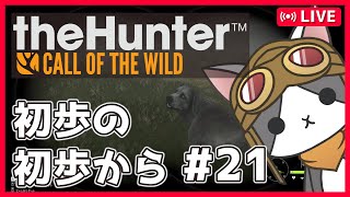 【thehunter:COTW】#21 キツネあと3匹('ω')【Vtuber】