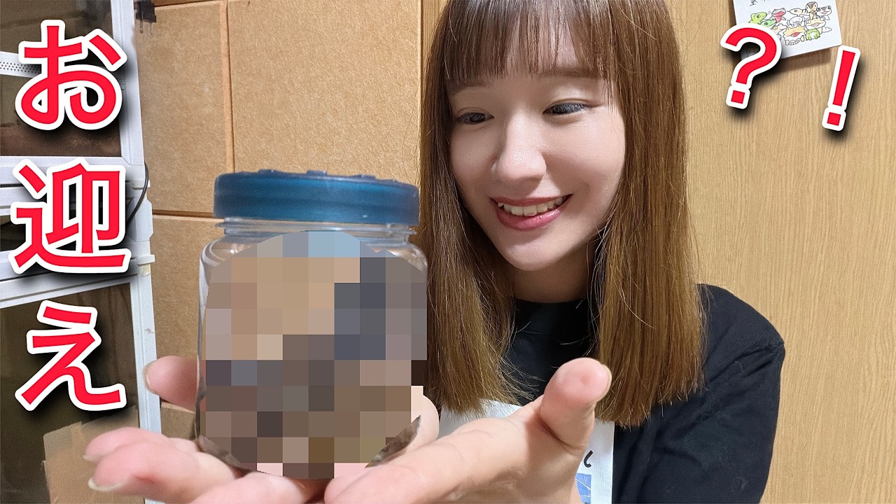 ペットショップで見た事ない生き物がいてお迎えしたら可愛すぎるんですが