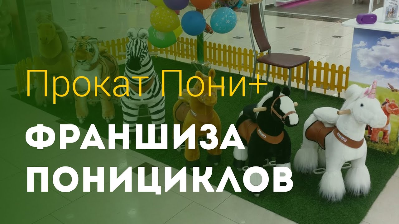 Франшиза Прокат Пони - YouTube