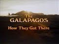 The Galápagos (PT1) (1986)