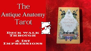The Antique Anatomy Walk Through & 1st Impressions.... kinda