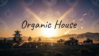 Organic House: Дыхание Пустыни. Вибрации Burning Man