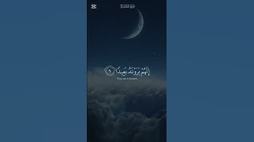 تلاوه هادئة تريح الأعصاب 🎧😴القارئ :مصطفى جبل