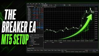 How to Set Up The Breaker EA in MetaTrader 5 | Backtest & Optimise (MT5)