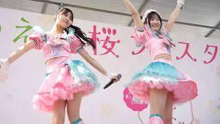 YUM!-TUK!（やみつき！）「最大YELL」うえの桜フェスタ＠上野恩賜公園