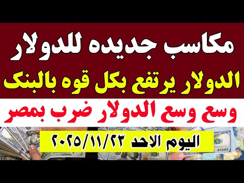 ارتفاع اسعار الدولار في البنوك المصرية اليوم الاحد 2025 11 23 في مصر