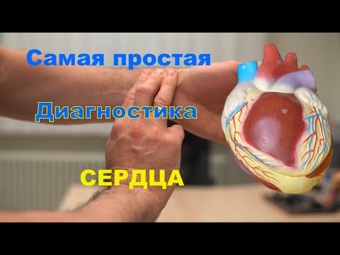 Работа сердца на