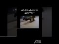 لما تشتري حمار من شركة فراري 