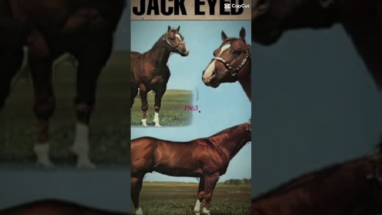 Yep! My horse great grandfather is two eyed jack!