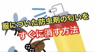 防虫剤の匂いをすぐに消す方法【雑学】