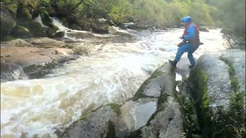 Upper Dart Euthanasia