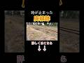 新潟市に残る廃線跡#踏切 #鉄道 #廃線 #廃線跡 #新潟信号 #がたしん