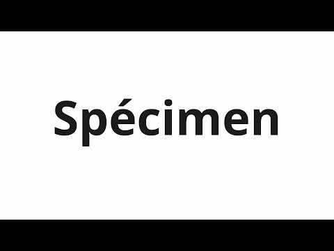 How to pronounce Spécimen