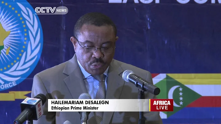 Eastern Africa Countries Launch Stand-by Force