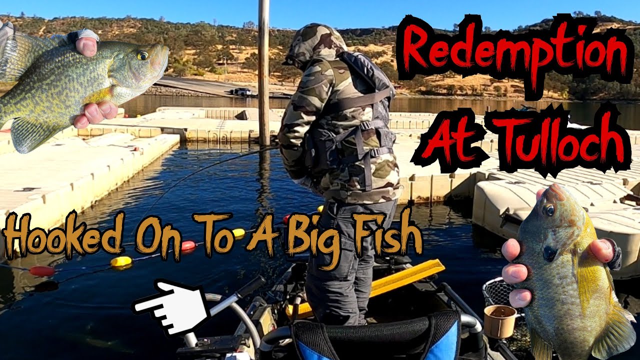 Back To Tulloch For Redemption