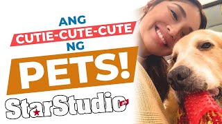 Ang Cutie-Cute-Cute Ng Pets! | StarStudio.ph