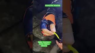 Lrf Avı Caroline Sistem I