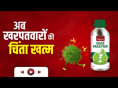 खरपतवार मिटाने का नया अवतार, महाशक्तिशाली खरपतवारनाशी  AgroStar Quiz Master  Best herbicide - खरपतवार मिटाने का नया अवतार, महाशक्तिशाली खरपतवारनाशी  AgroStar Quiz Master  Best herbicide