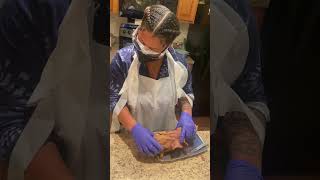 Bio 251 Fetal Pig Lab
