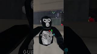 Guess the Finger Painter #gorillatag #gorillatagquest #gtag #jmancurly #monke #gtagfingerpainter