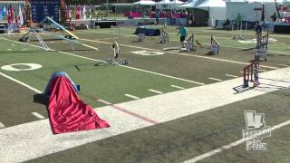 USDAA 2014 Cynosports Grand Prix semi