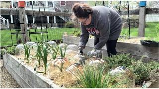 Spring Garden Planting Day 🌱 Seedlings to Beds, Dahlias Sprouting + Porch Decor Shopping Inspiration