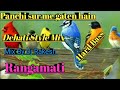Panchi sur me gaten hain ( Dehati Style Mix)DJ Rakesh Rangamati Mix Hindiaz Download