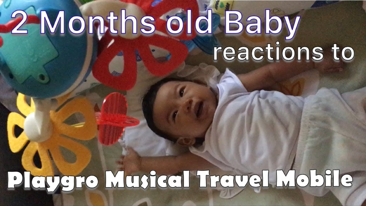 playgro travel mobile