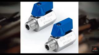 Review - CTJfyrdian 2 Pack 1/4 NPT Mini Ball Valve, 304 Stainless Steel Male x Female Th