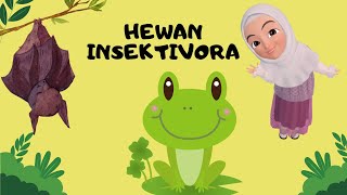 HEWAN INSEKTIVORA